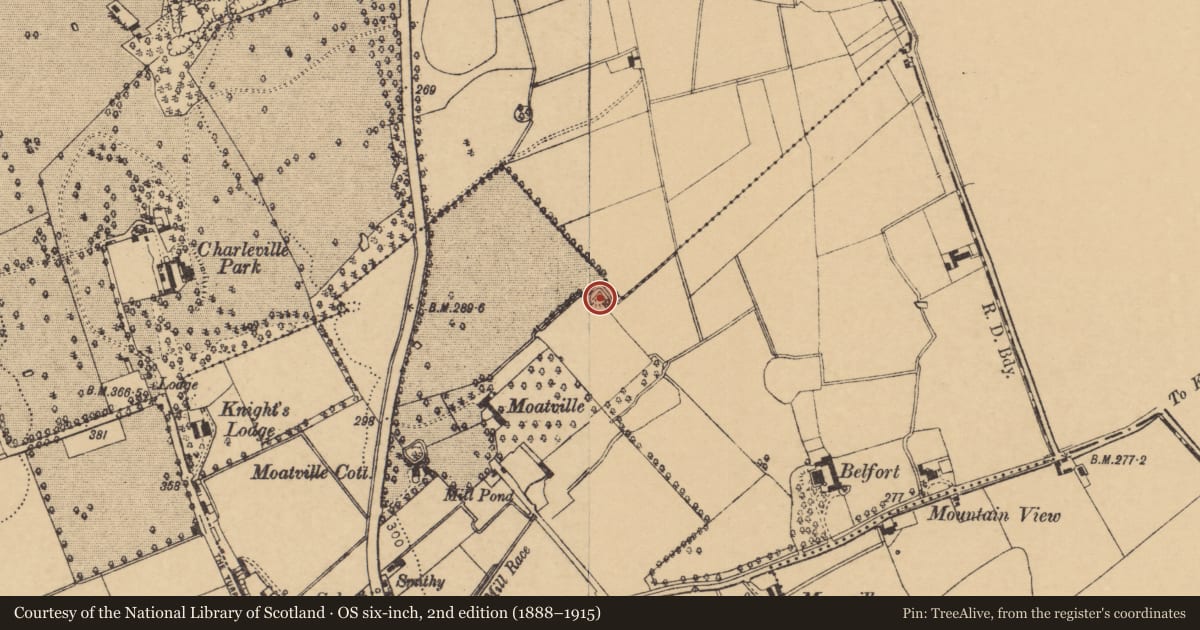 Ordnance Survey six-inch map, 2nd edition (1888–1915) covering the location of Earthwork, Rathgoggan Middle, County Cork, with a pin at the register's coordinates