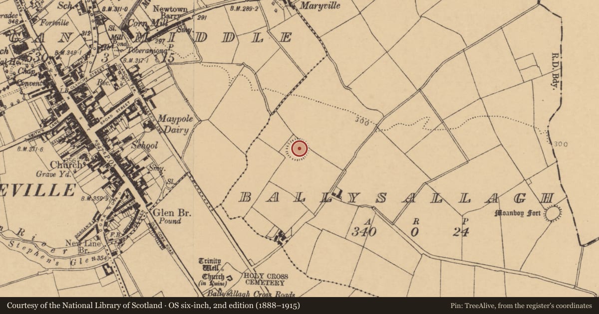 Ordnance Survey six-inch map, 2nd edition (1888–1915) covering the location of Ringfort - rath, Ballysallagh (Orrery and Kilmore By., Rathgoggan Par.), County Cork, with a pin at the register's coordinates