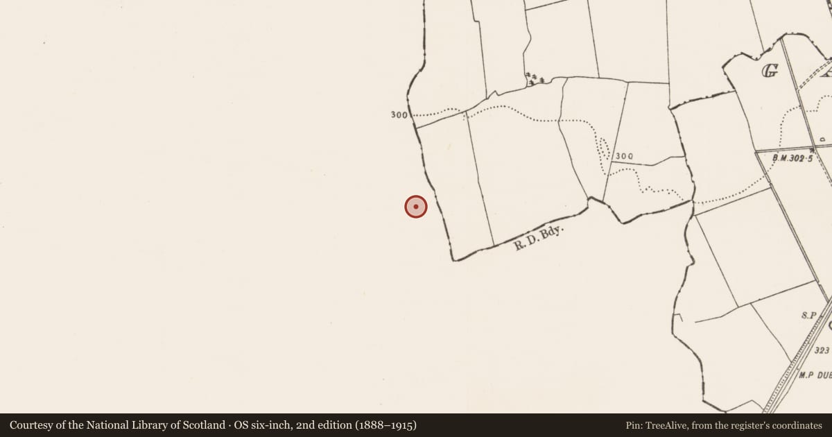 Ordnance Survey six-inch map, 2nd edition (1888–1915) covering the location of Ringfort - rath, Ballysallagh (Orrery and Kilmore By., Rathgoggan Par.), County Cork, with a pin at the register's coordinates