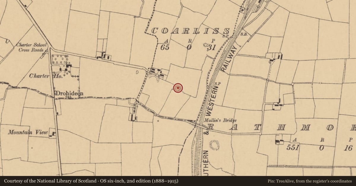 Ordnance Survey six-inch map, 2nd edition (1888–1915) covering the location of Ringfort - rath, Coarliss, County Cork, with a pin at the register's coordinates