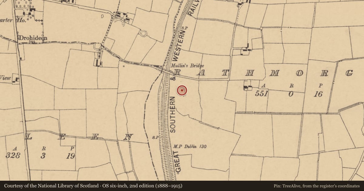 Ordnance Survey six-inch map, 2nd edition (1888–1915) covering the location of Ringfort - rath, Rathmorgan, County Cork, with a pin at the register's coordinates
