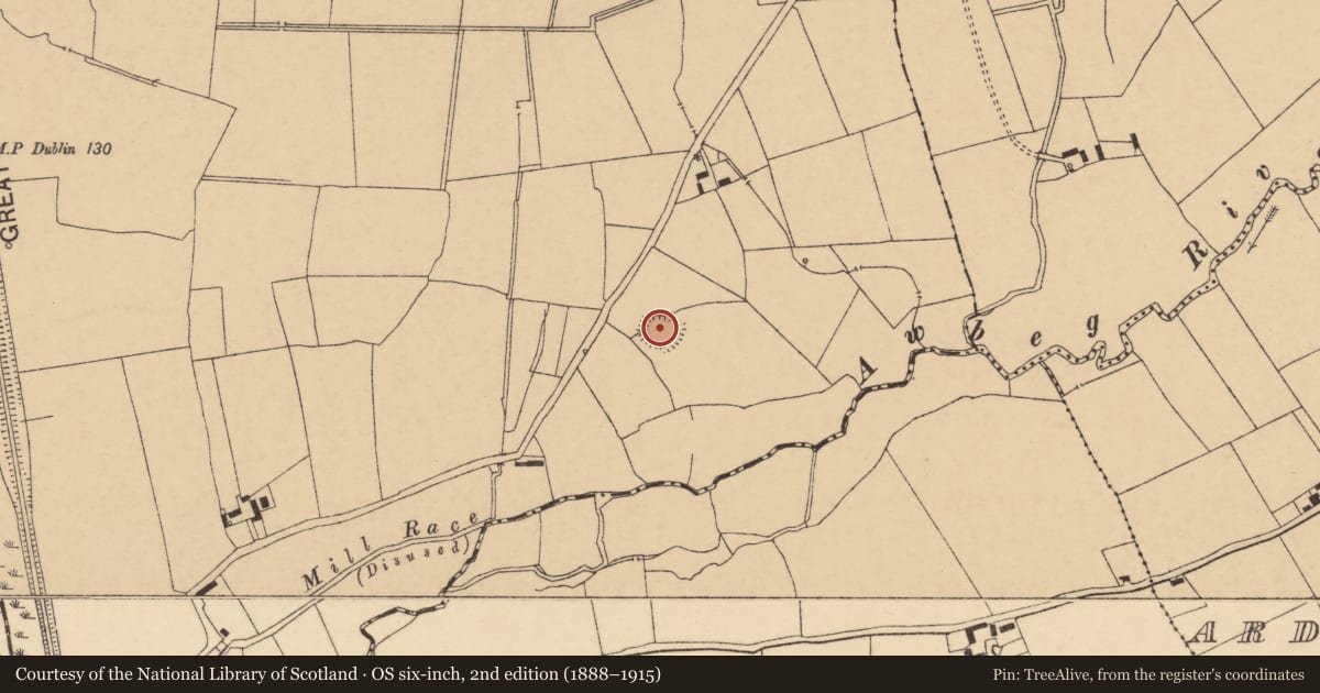 Ordnance Survey six-inch map, 2nd edition (1888–1915) covering the location of Ringfort - rath, Rathmorgan, County Cork, with a pin at the register's coordinates