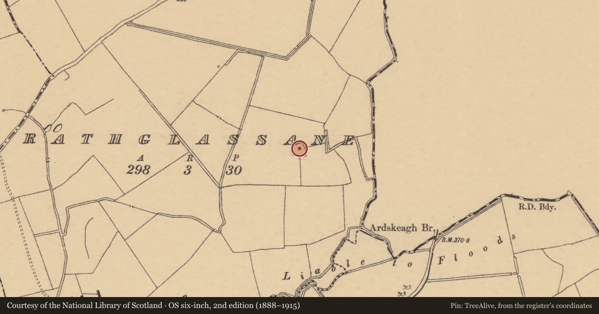 Ordnance Survey six-inch map, 2nd edition (1888–1915) covering the location of Enclosure, Rathglassane, County Cork, with a pin at the register's coordinates