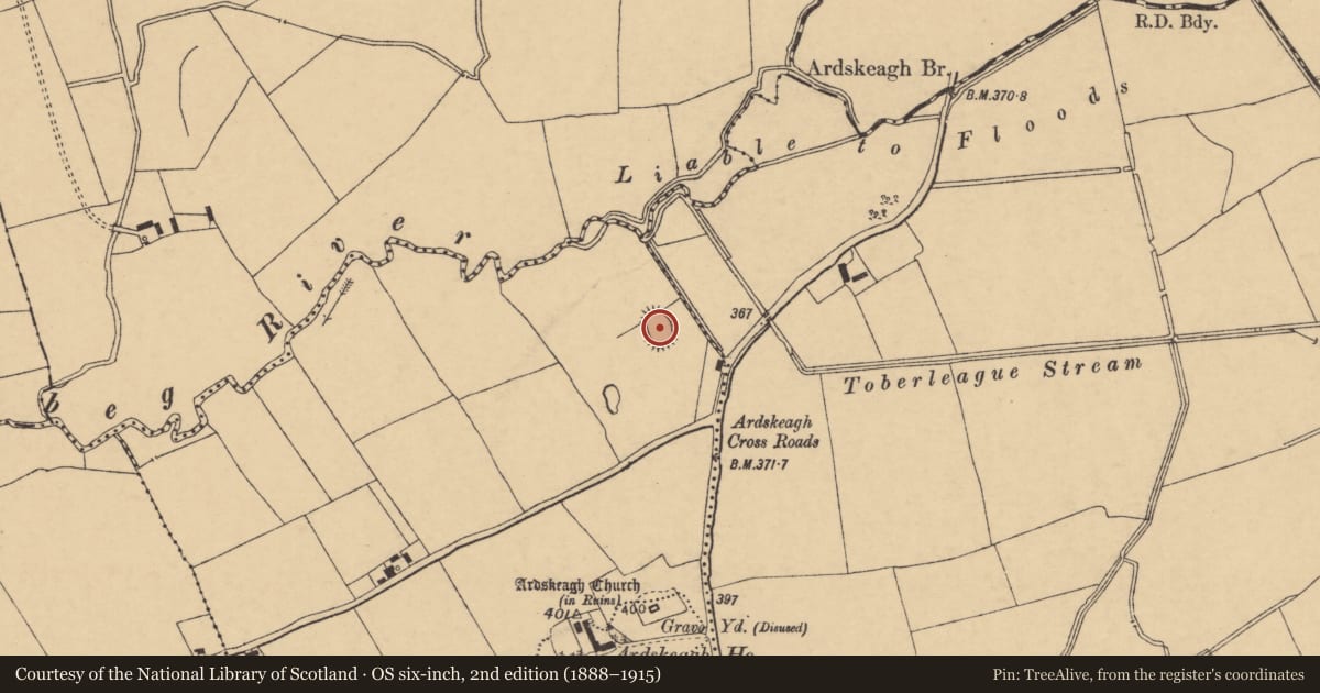 Ordnance Survey six-inch map, 2nd edition (1888–1915) covering the location of Ringfort - rath, Ardskeagh, County Cork, with a pin at the register's coordinates