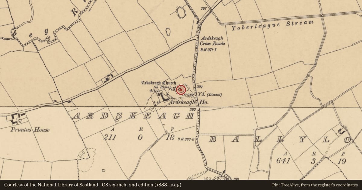 Ordnance Survey six-inch map, 2nd edition (1888–1915) covering the location of Graveslab, Ardskeagh, County Cork, with a pin at the register's coordinates