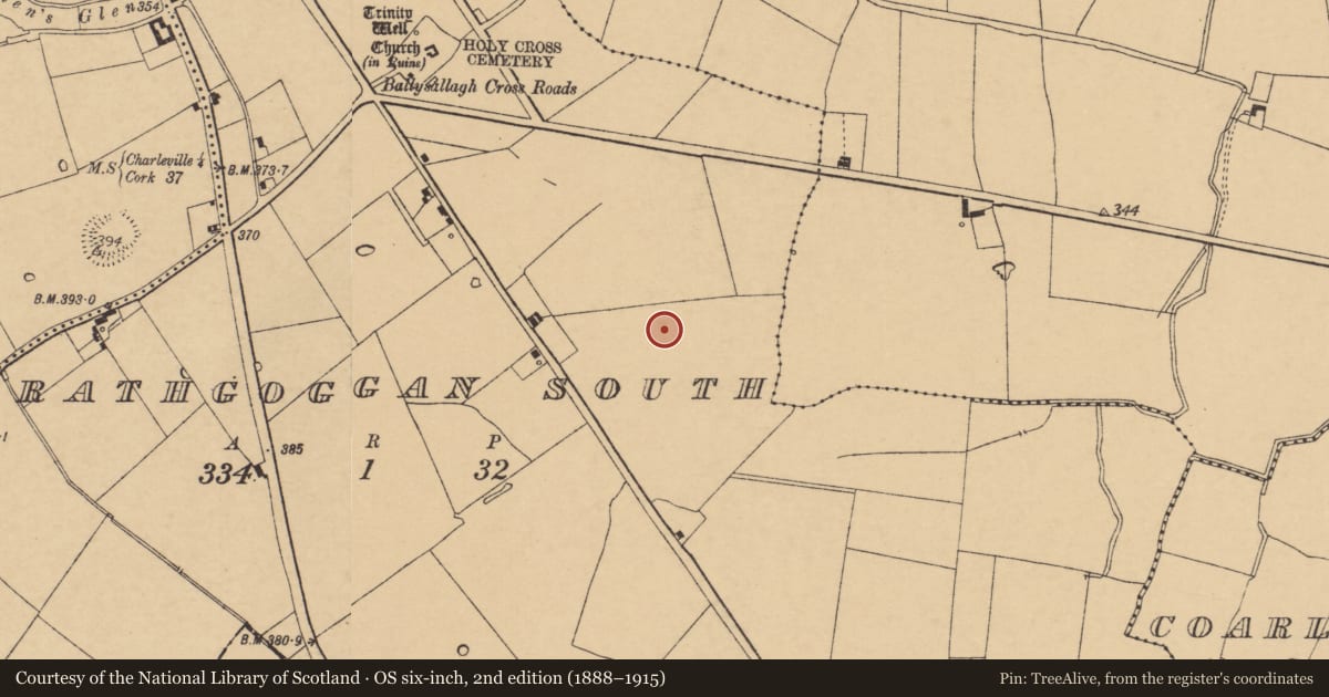 Ordnance Survey six-inch map, 2nd edition (1888–1915) covering the location of Fulacht fia, Rathgoggan South, County Cork, with a pin at the register's coordinates