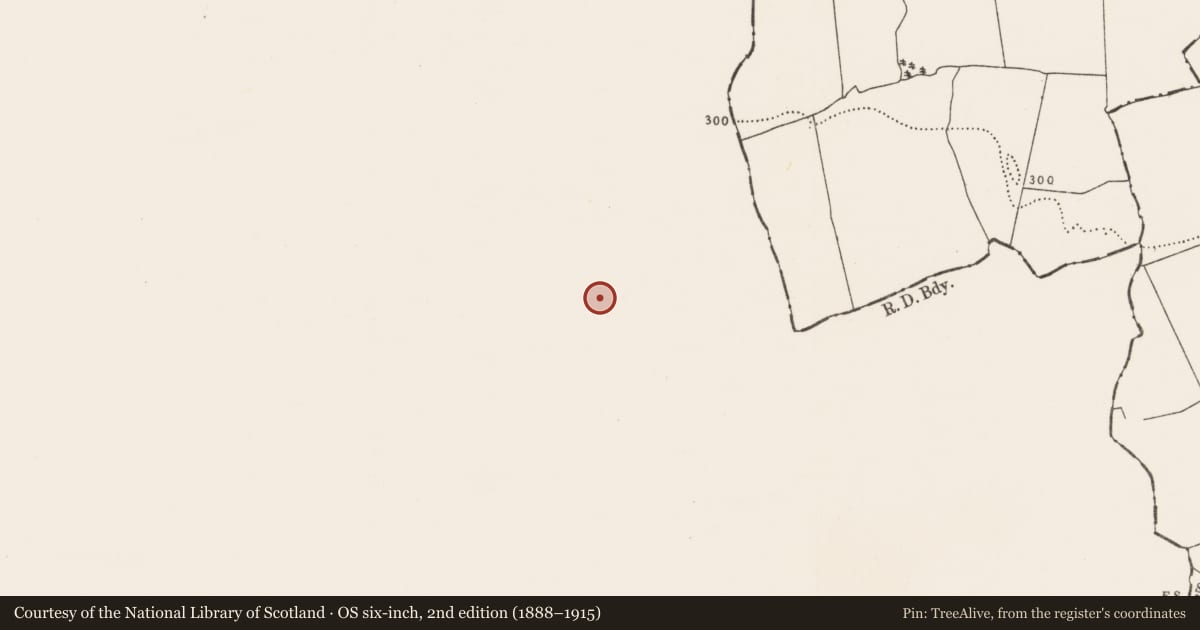 Ordnance Survey six-inch map, 2nd edition (1888–1915) covering the location of Fulacht fia, Ballysallagh (Orrery and Kilmore By., Rathgoggan Par.), County Cork, with a pin at the register's coordinates