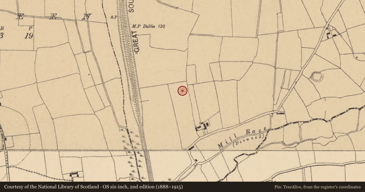 Ordnance Survey six-inch map, 2nd edition (1888–1915) covering the location of Ringfort - rath, Rathmorgan, County Cork, with a pin at the register's coordinates