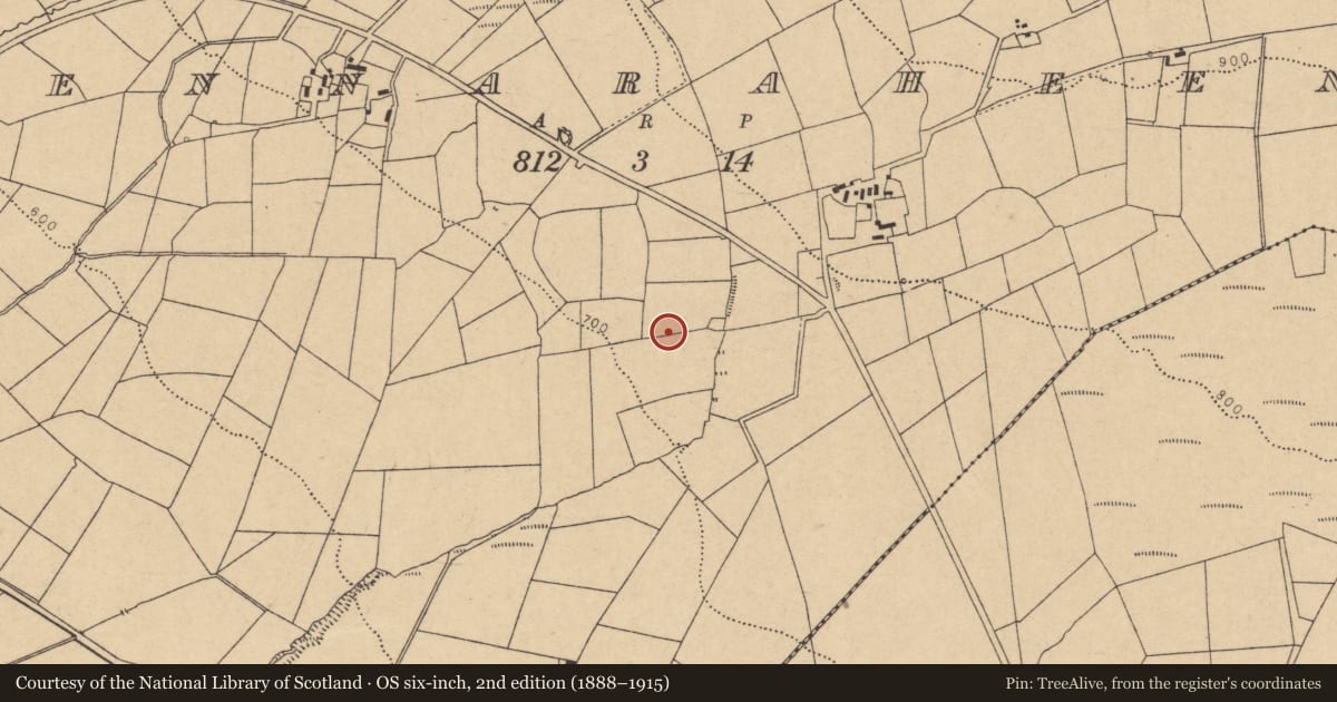 Ordnance Survey six-inch map, 2nd edition (1888–1915) covering the location of Fulacht fia, Meennaraheeny, County Cork, with a pin at the register's coordinates