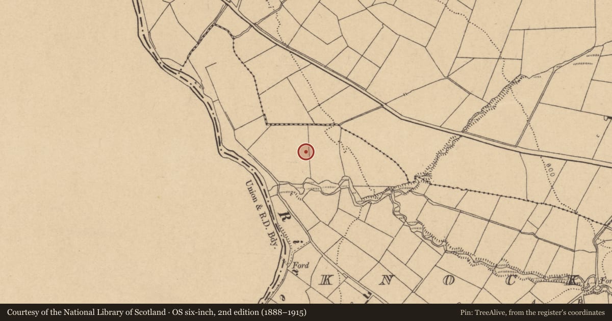 Ordnance Survey six-inch map, 2nd edition (1888–1915) covering the location of Ringfort - rath, Knockatooan, County Cork, with a pin at the register's coordinates