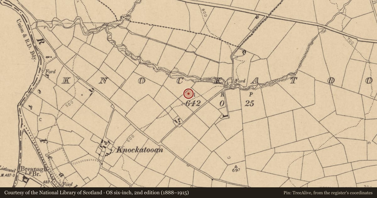 Ordnance Survey six-inch map, 2nd edition (1888–1915) covering the location of Fulacht fia, Knockatooan, County Cork, with a pin at the register's coordinates
