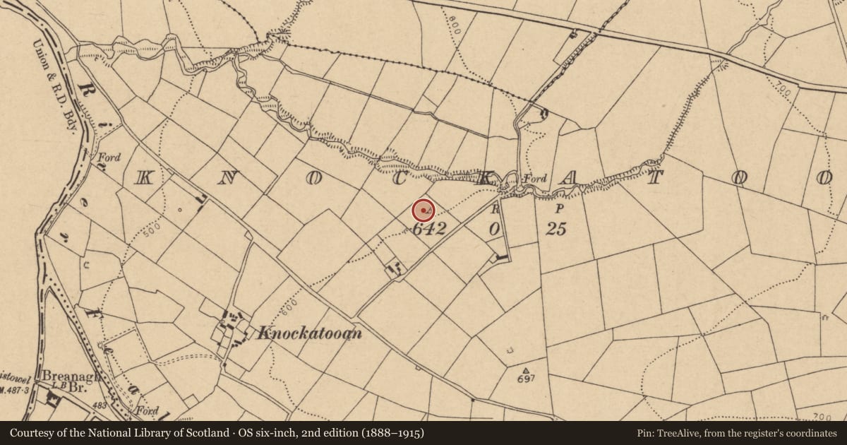 Ordnance Survey six-inch map, 2nd edition (1888–1915) covering the location of Fulacht fia, Knockatooan, County Cork, with a pin at the register's coordinates