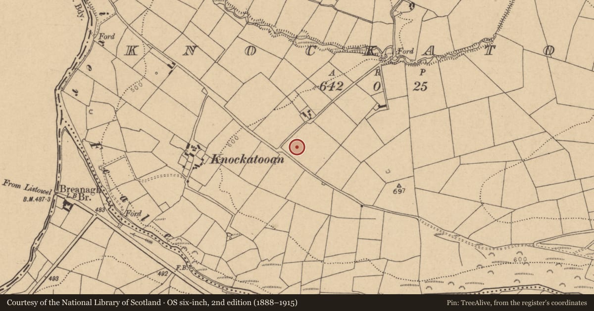 Ordnance Survey six-inch map, 2nd edition (1888–1915) covering the location of Barrow - bowl-barrow, Knockatooan, County Cork, with a pin at the register's coordinates