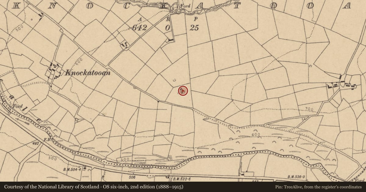 Ordnance Survey six-inch map, 2nd edition (1888–1915) covering the location of Stone row, Knockatooan, County Cork, with a pin at the register's coordinates