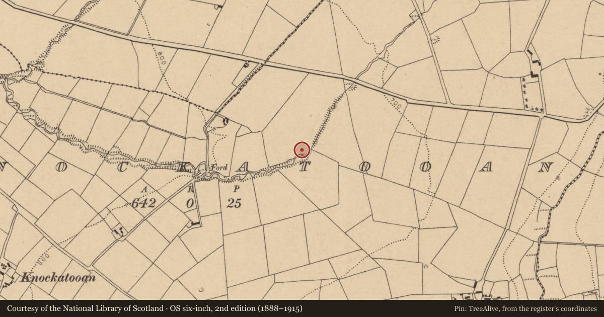Ordnance Survey six-inch map, 2nd edition (1888–1915) covering the location of Fulacht fia, Knockatooan, County Cork, with a pin at the register's coordinates