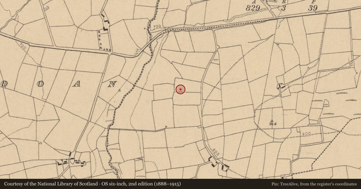 Ordnance Survey six-inch map, 2nd edition (1888–1915) covering the location of Standing stone, Knockahorrea West, County Cork, with a pin at the register's coordinates