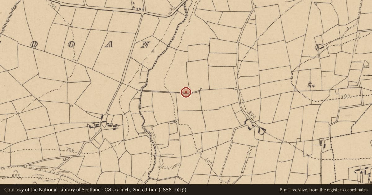 Ordnance Survey six-inch map, 2nd edition (1888–1915) covering the location of Fulacht fia, Knockahorrea West, County Cork, with a pin at the register's coordinates