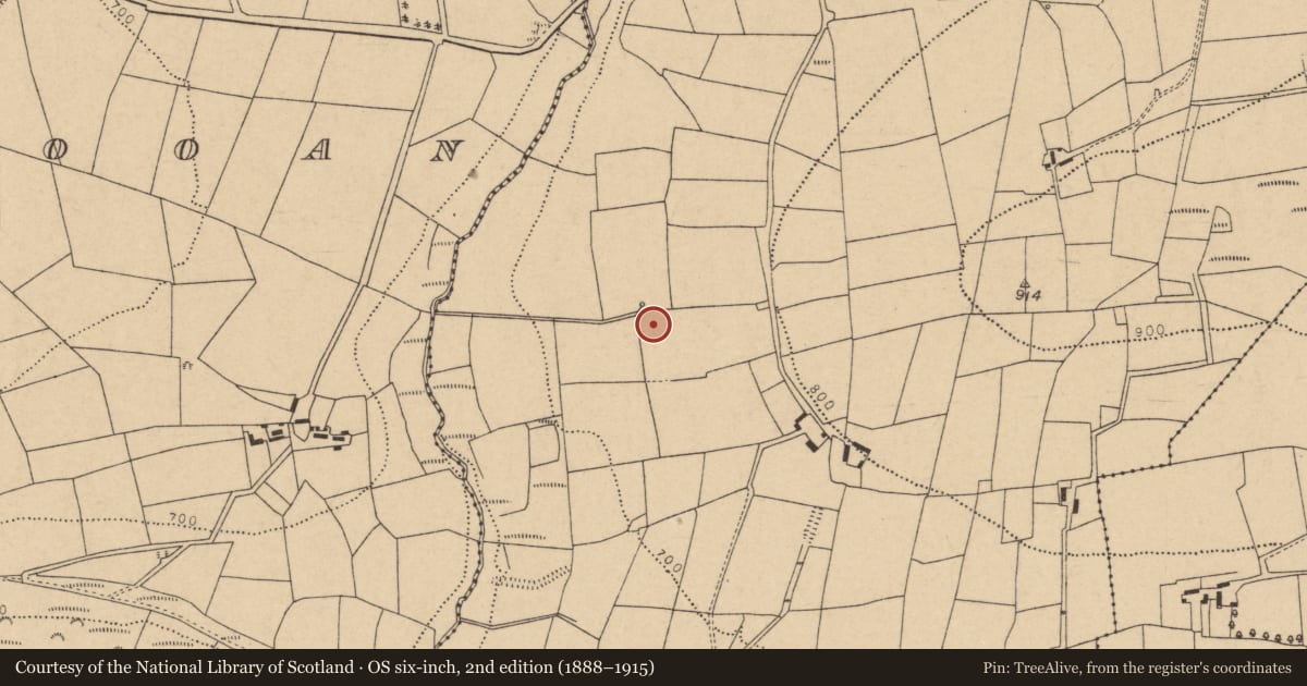 Ordnance Survey six-inch map, 2nd edition (1888–1915) covering the location of Fulacht fia, Knockahorrea West, County Cork, with a pin at the register's coordinates