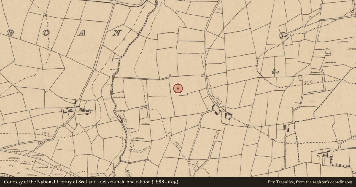 Ordnance Survey six-inch map, 2nd edition (1888–1915) covering the location of Fulacht fia, Knockahorrea West, County Cork, with a pin at the register's coordinates