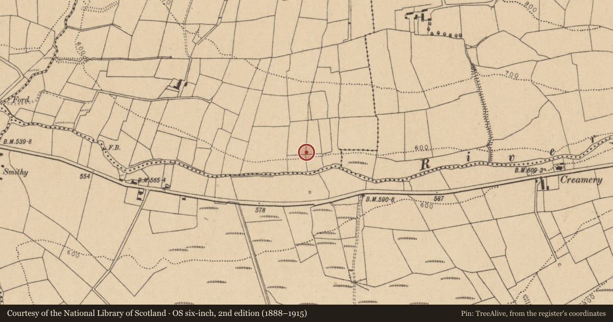 Ordnance Survey six-inch map, 2nd edition (1888–1915) covering the location of Fulacht fia, Knockahorrea West, County Cork, with a pin at the register's coordinates