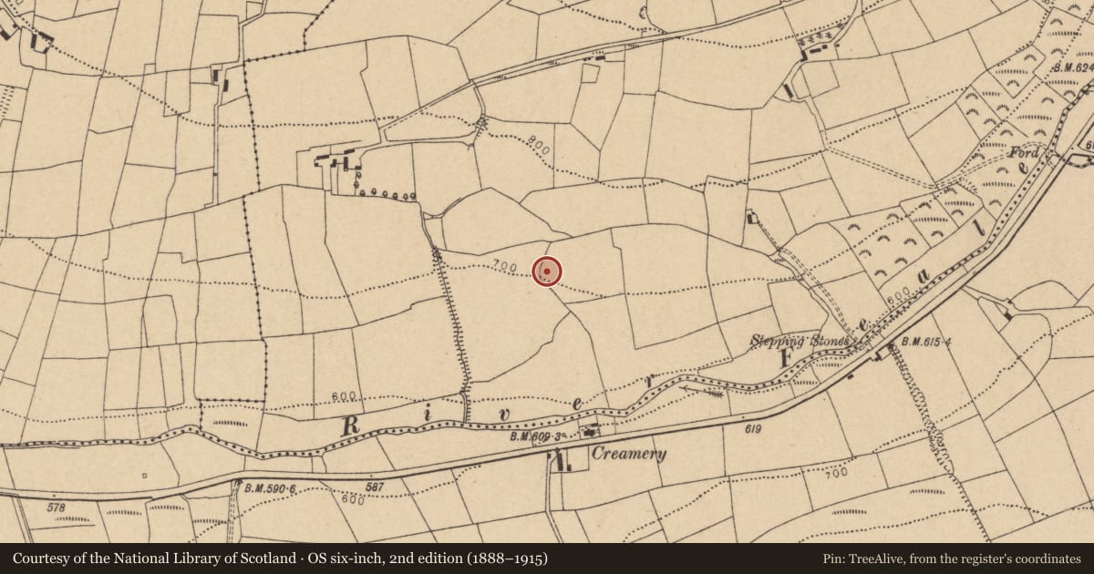 Ordnance Survey six-inch map, 2nd edition (1888–1915) covering the location of Fulacht fia, Knockahorrea East, County Cork, with a pin at the register's coordinates