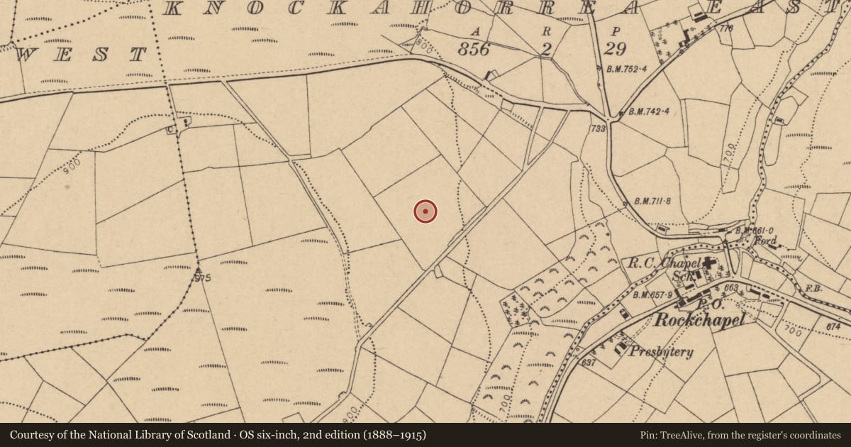 Ordnance Survey six-inch map, 2nd edition (1888–1915) covering the location of Fulacht fia, Knockahorrea East, County Cork, with a pin at the register's coordinates