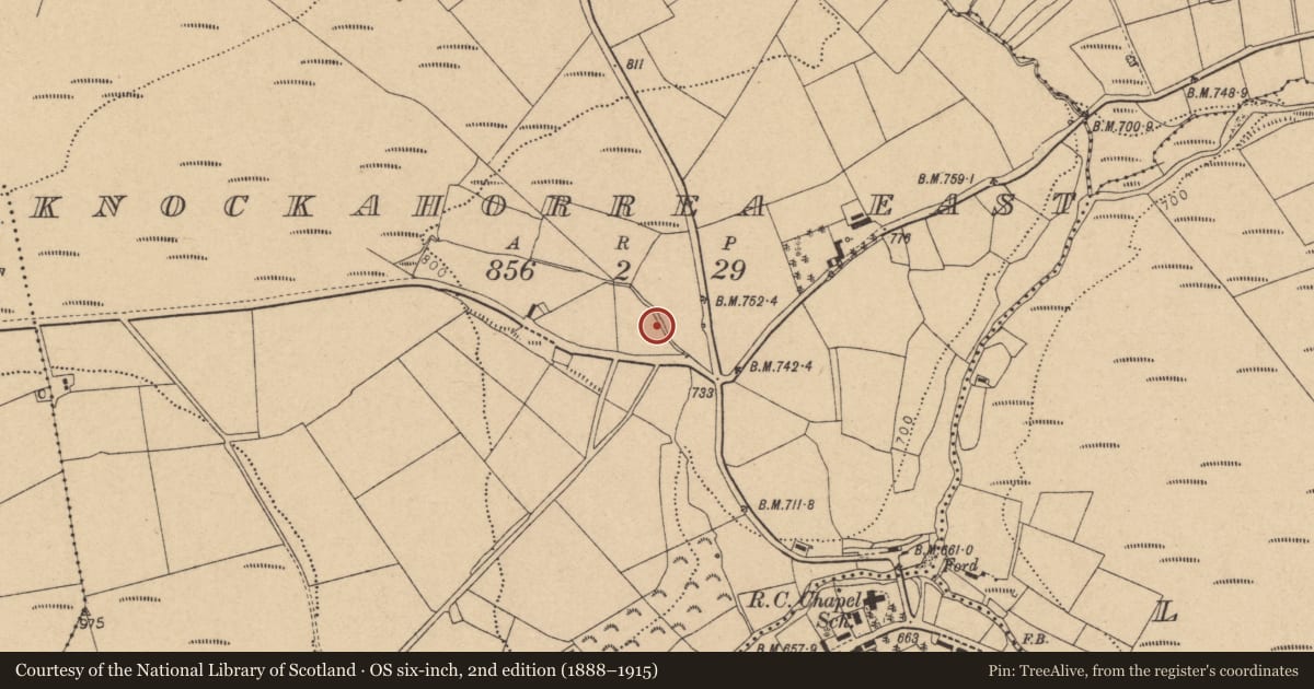 Ordnance Survey six-inch map, 2nd edition (1888–1915) covering the location of Fulacht fia, Knockahorrea East, County Cork, with a pin at the register's coordinates