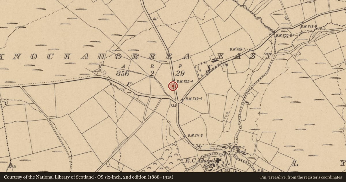Ordnance Survey six-inch map, 2nd edition (1888–1915) covering the location of Kiln - lime, Knockahorrea East, County Cork, with a pin at the register's coordinates
