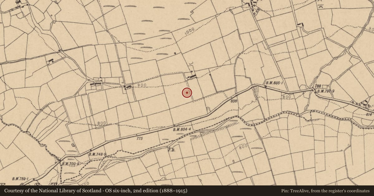 Ordnance Survey six-inch map, 2nd edition (1888–1915) covering the location of Fulacht fia, Rockhill West, County Cork, with a pin at the register's coordinates