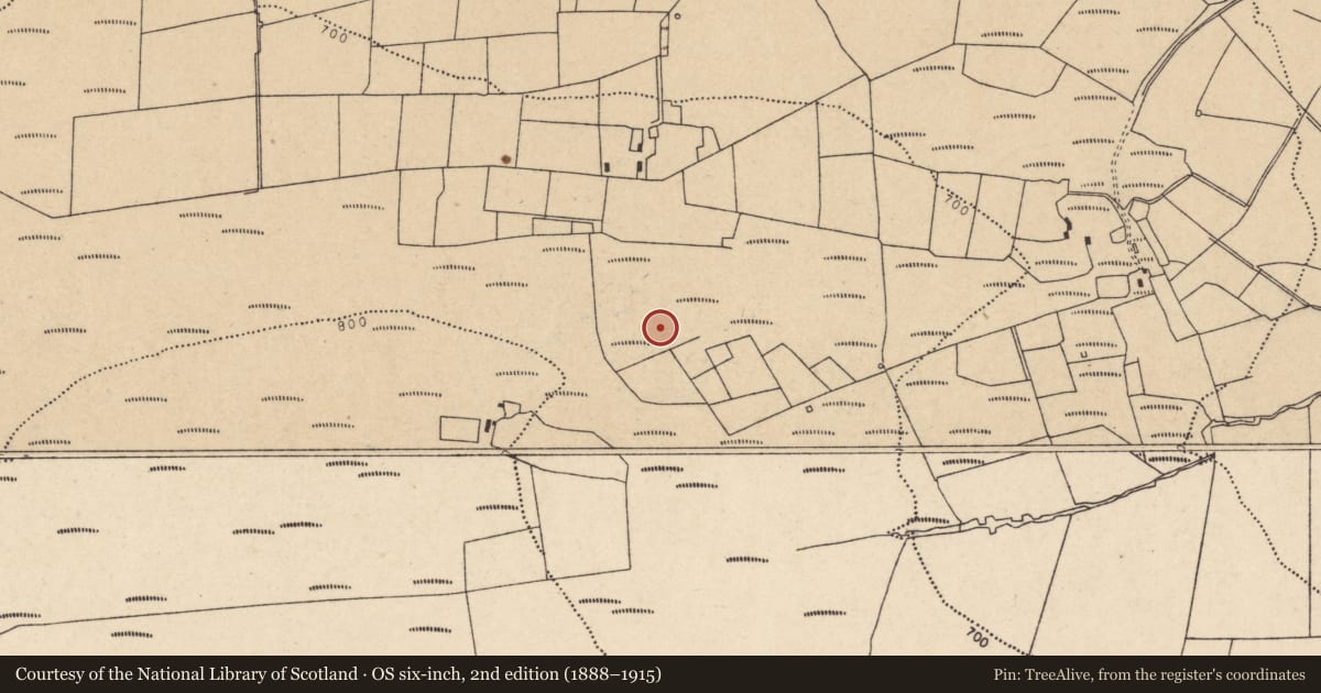 Ordnance Survey six-inch map, 2nd edition (1888–1915) covering the location of Stone row, Cloghvoula, County Cork, with a pin at the register's coordinates
