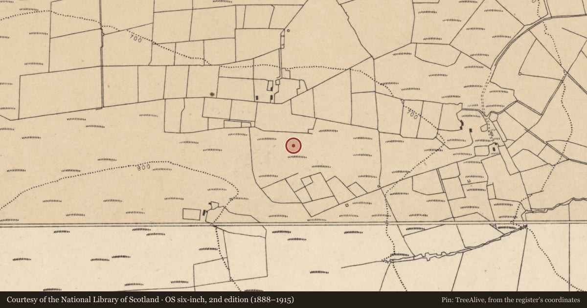Ordnance Survey six-inch map, 2nd edition (1888–1915) covering the location of Church, Cloghvoula, County Cork, with a pin at the register's coordinates