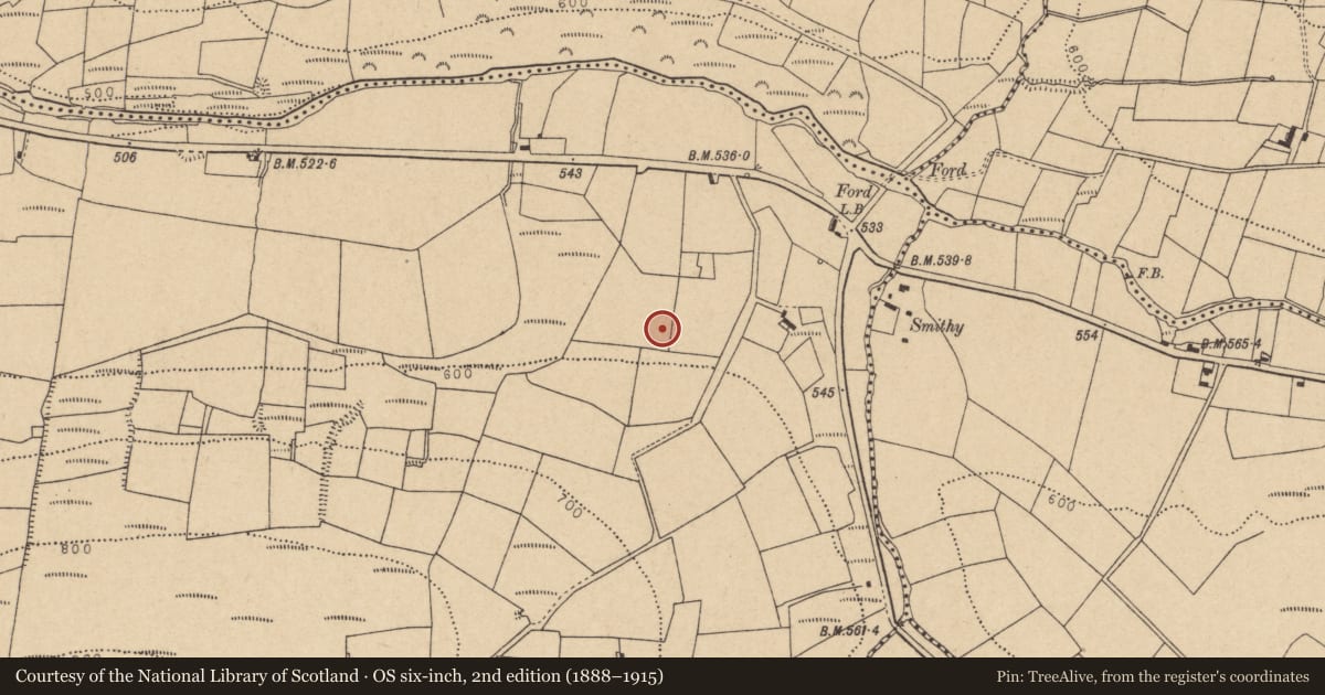 Ordnance Survey six-inch map, 2nd edition (1888–1915) covering the location of Fulacht fia, Knockaclarig, County Cork, with a pin at the register's coordinates