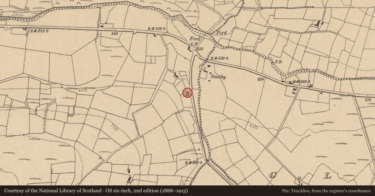 Ordnance Survey six-inch map, 2nd edition (1888–1915) covering the location of Kiln - lime, Knockaclarig, County Cork, with a pin at the register's coordinates