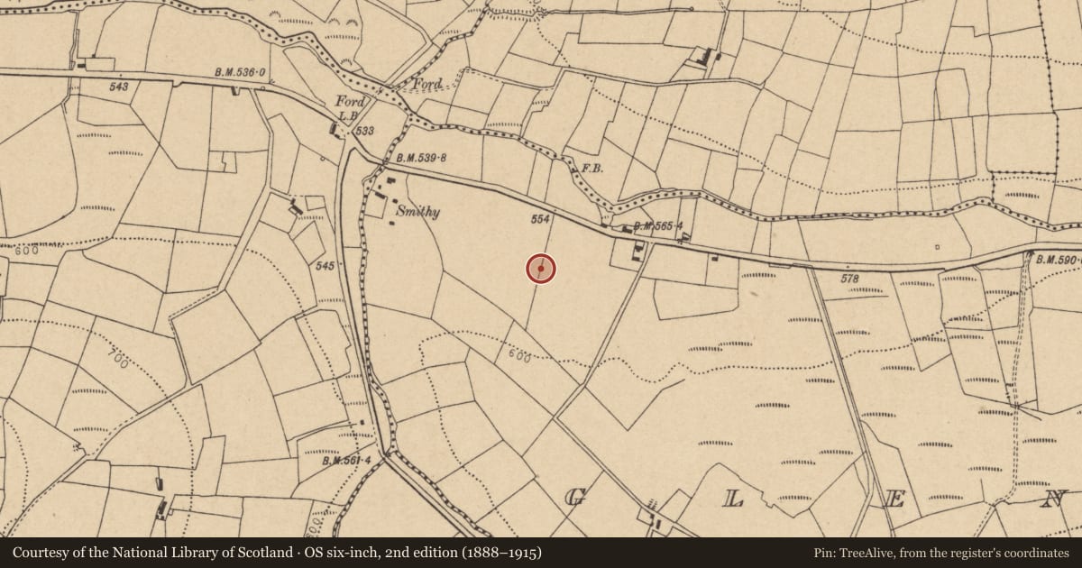 Ordnance Survey six-inch map, 2nd edition (1888–1915) covering the location of Standing stone, Glenacarney, County Cork, with a pin at the register's coordinates