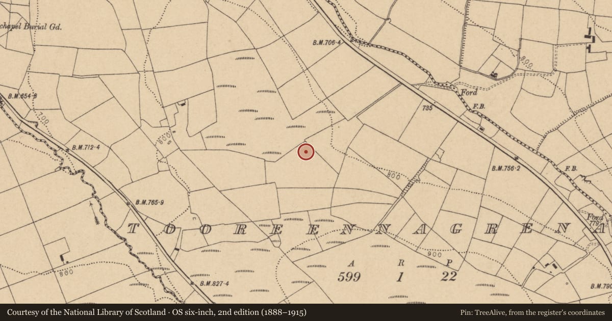 Ordnance Survey six-inch map, 2nd edition (1888–1915) covering the location of Standing stone, Tooreennagrena, County Cork, with a pin at the register's coordinates