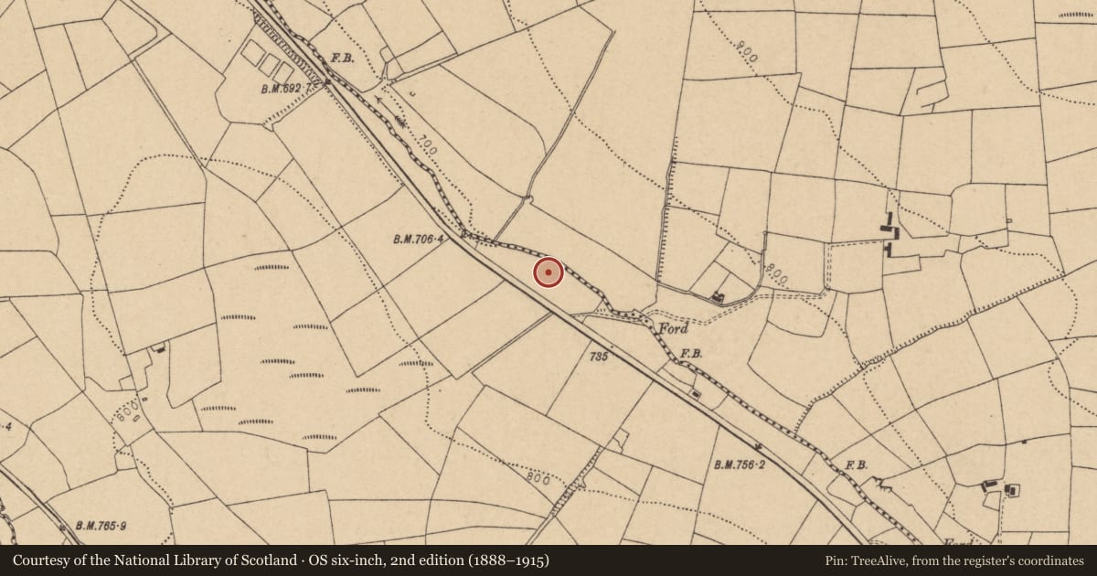 Ordnance Survey six-inch map, 2nd edition (1888–1915) covering the location of Fulacht fia, Tooreennagrena, County Cork, with a pin at the register's coordinates