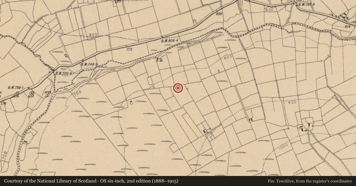 Ordnance Survey six-inch map, 2nd edition (1888–1915) covering the location of Standing stone, Lyraneag, County Cork, with a pin at the register's coordinates