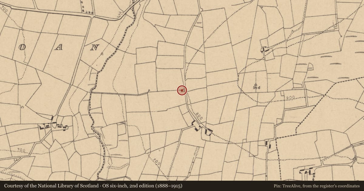 Ordnance Survey six-inch map, 2nd edition (1888–1915) covering the location of Kiln - lime, Knockahorrea West, County Cork, with a pin at the register's coordinates
