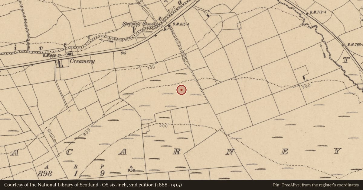 Ordnance Survey six-inch map, 2nd edition (1888–1915) covering the location of Enclosure, Glenacarney, County Cork, with a pin at the register's coordinates