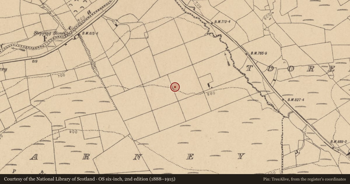 Ordnance Survey six-inch map, 2nd edition (1888–1915) covering the location of Fulacht fia, Glenacarney, County Cork, with a pin at the register's coordinates