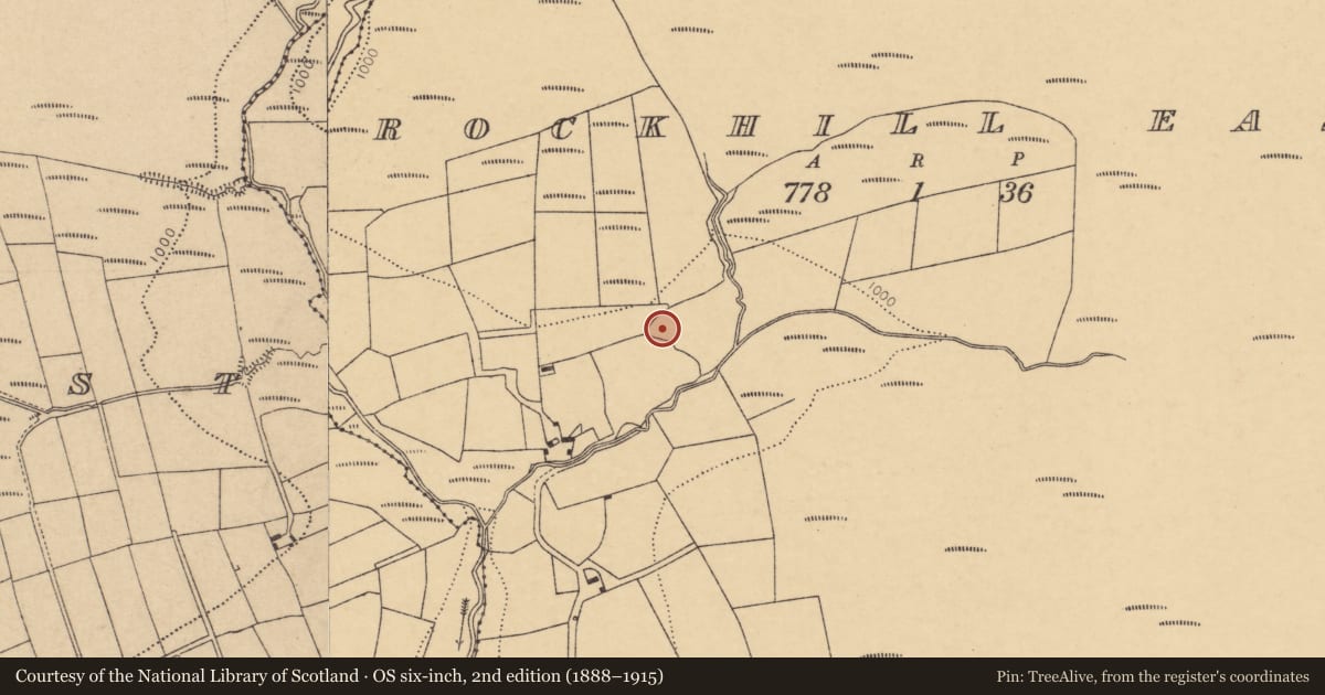 Ordnance Survey six-inch map, 2nd edition (1888–1915) covering the location of Fulacht fia, Rockhill East, County Cork, with a pin at the register's coordinates