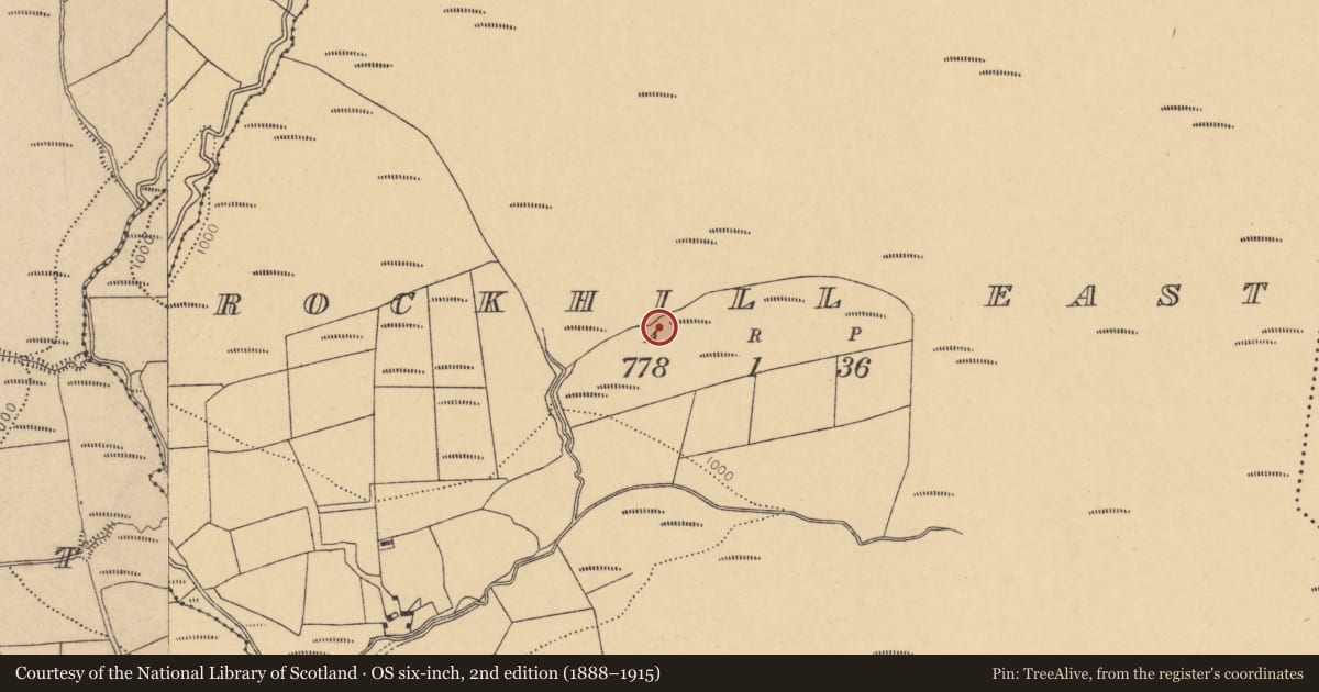 Ordnance Survey six-inch map, 2nd edition (1888–1915) covering the location of Enclosure, Rockhill East, County Cork, with a pin at the register's coordinates