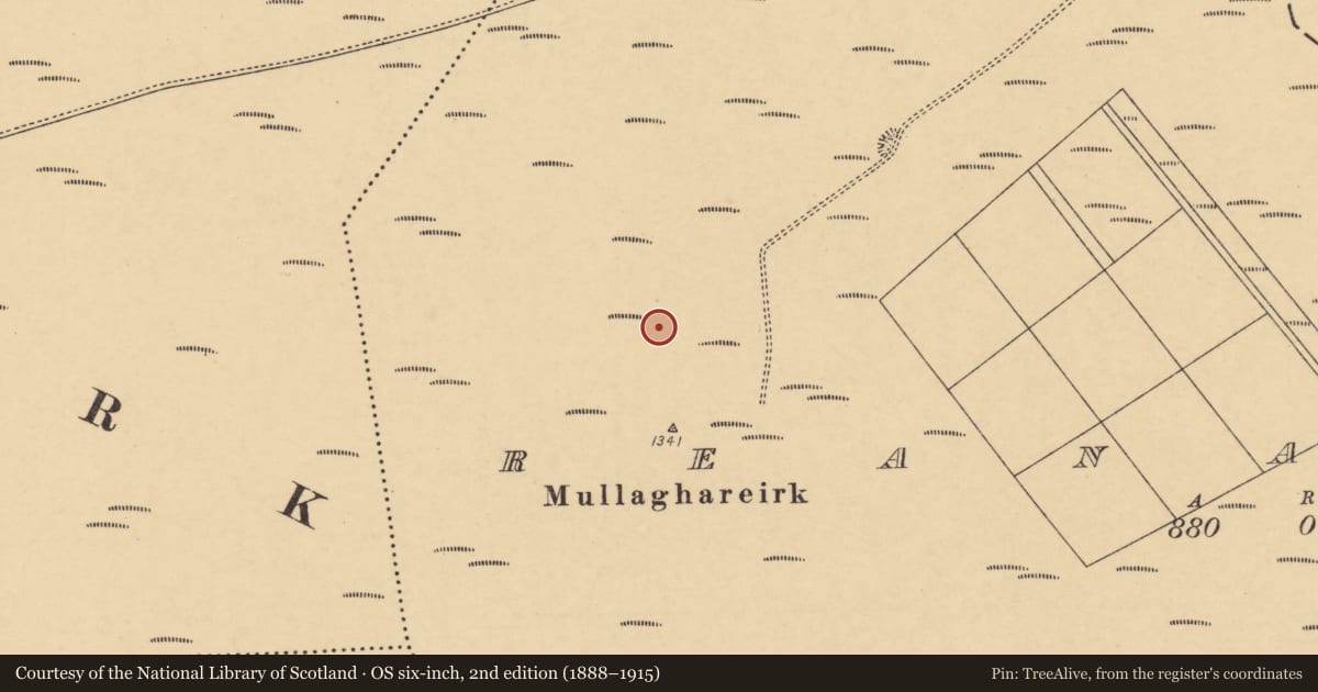 Ordnance Survey six-inch map, 2nd edition (1888–1915) covering the location of Burial ground, Reanahoun, County Cork, with a pin at the register's coordinates
