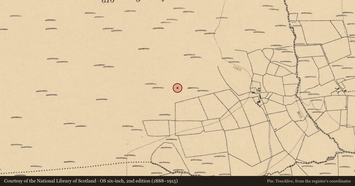 Ordnance Survey six-inch map, 2nd edition (1888–1915) covering the location of Barrow - ring-barrow, Cummery Connell South, County Cork, with a pin at the register's coordinates