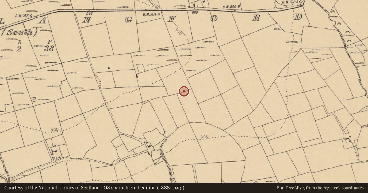 Ordnance Survey six-inch map, 2nd edition (1888–1915) covering the location of Fulacht fia, Rowls South, County Cork, with a pin at the register's coordinates