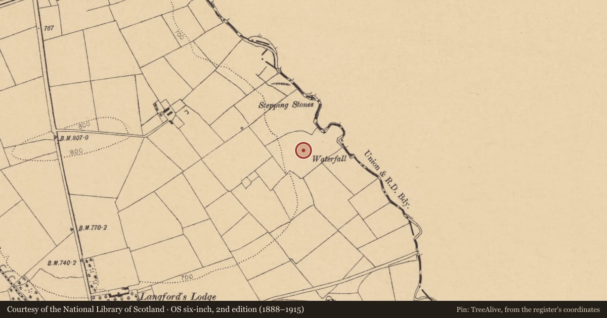Ordnance Survey six-inch map, 2nd edition (1888–1915) covering the location of Fulacht fia, Rowls North, County Cork, with a pin at the register's coordinates