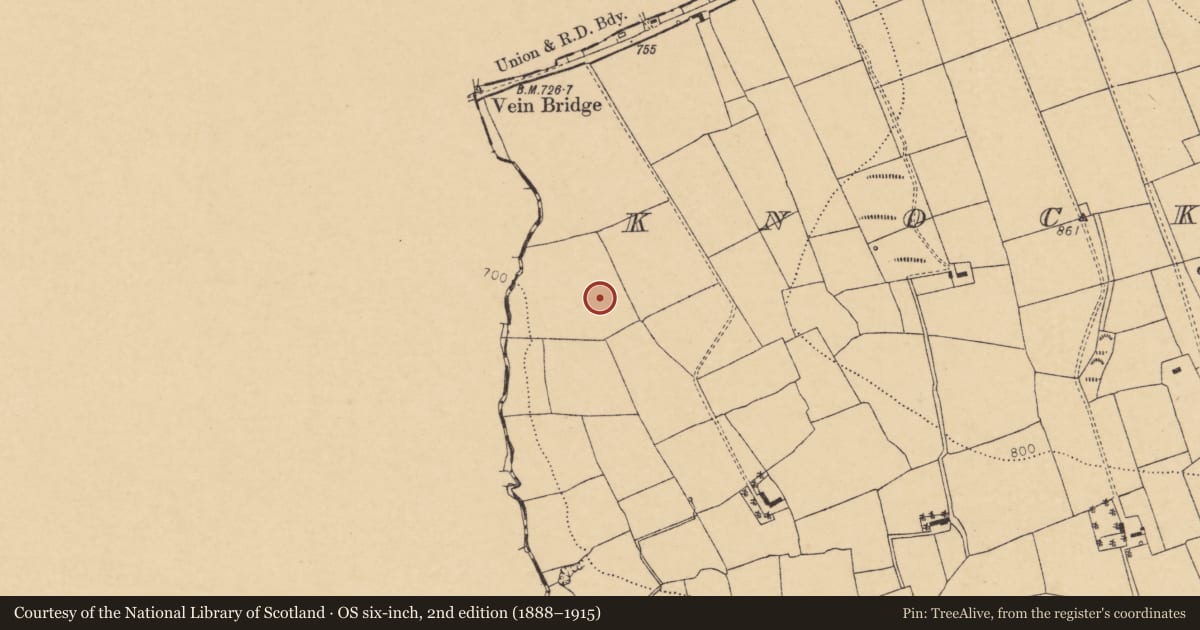 Ordnance Survey six-inch map, 2nd edition (1888–1915) covering the location of Fulacht fia, Knockearagh, County Cork, with a pin at the register's coordinates
