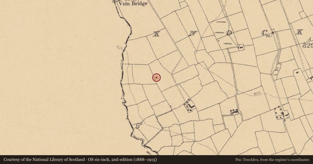 Ordnance Survey six-inch map, 2nd edition (1888–1915) covering the location of Fulacht fia, Knockearagh, County Cork, with a pin at the register's coordinates