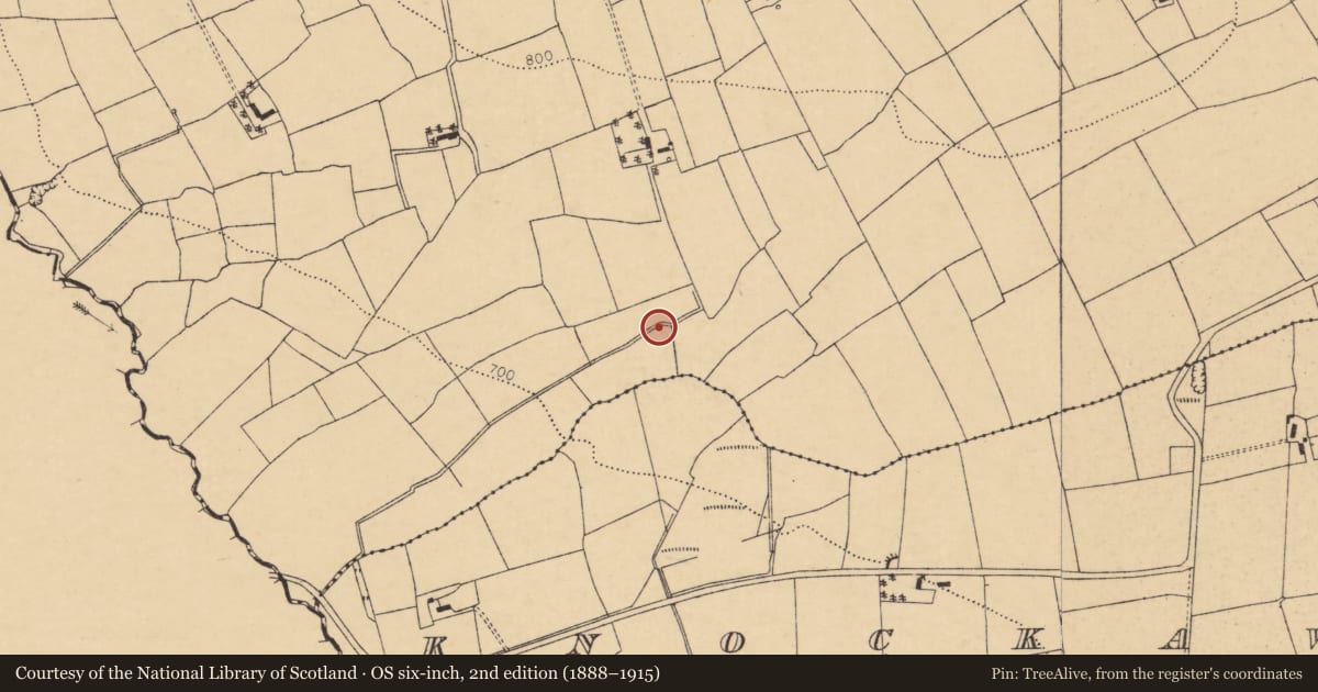 Ordnance Survey six-inch map, 2nd edition (1888–1915) covering the location of Fulacht fia, Knockearagh, County Cork, with a pin at the register's coordinates