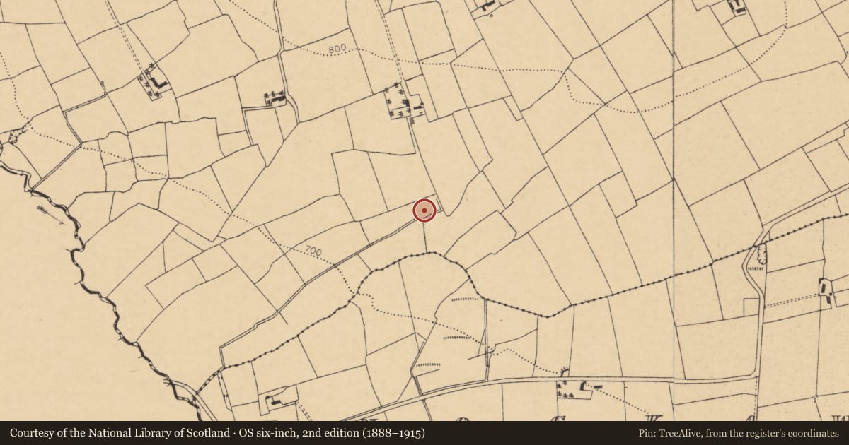 Ordnance Survey six-inch map, 2nd edition (1888–1915) covering the location of Fulacht fia, Knockearagh, County Cork, with a pin at the register's coordinates
